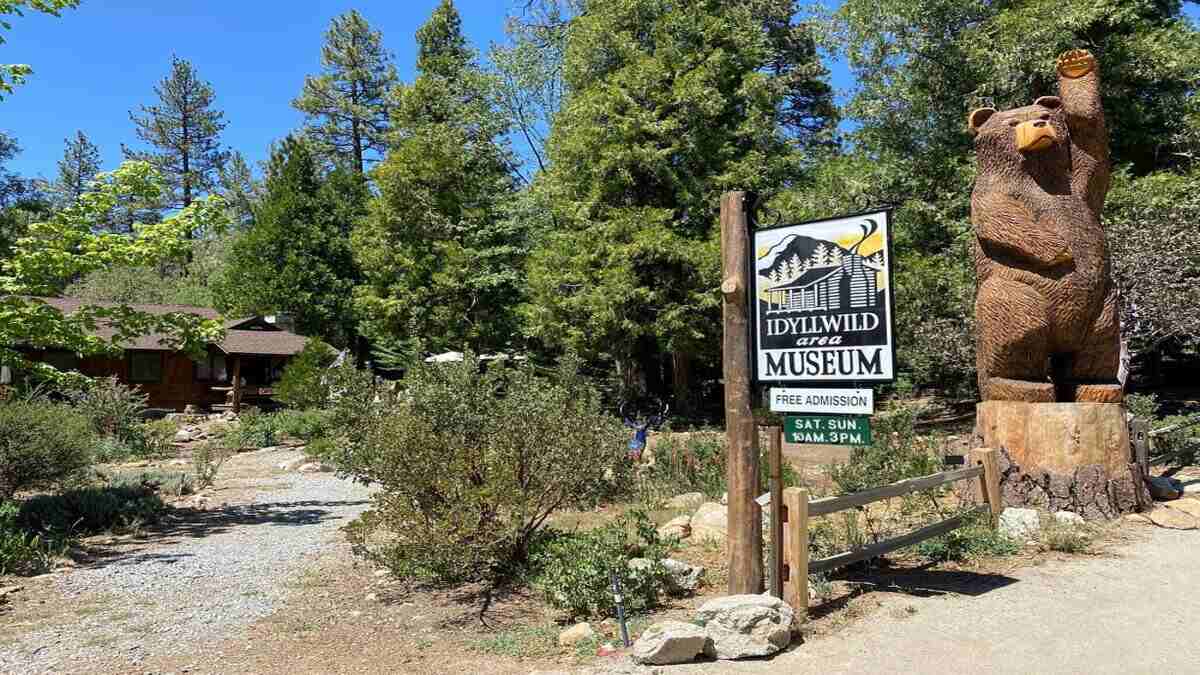 Things to do in Idyllwild